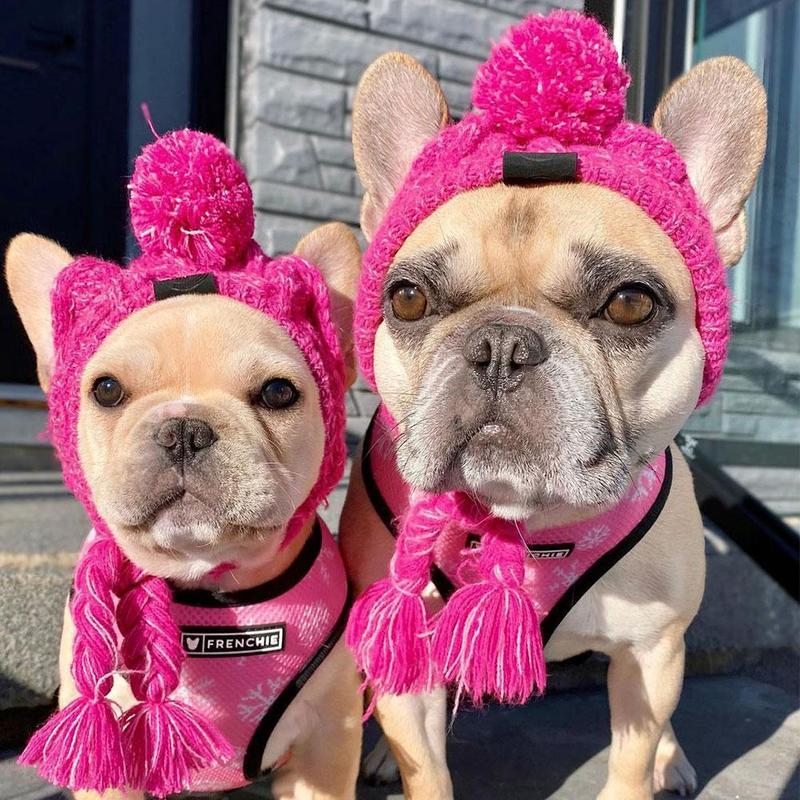 Winter Knitted Pet Hat – Cozy Fluffy Pom Pom Dog & Cat Beanie