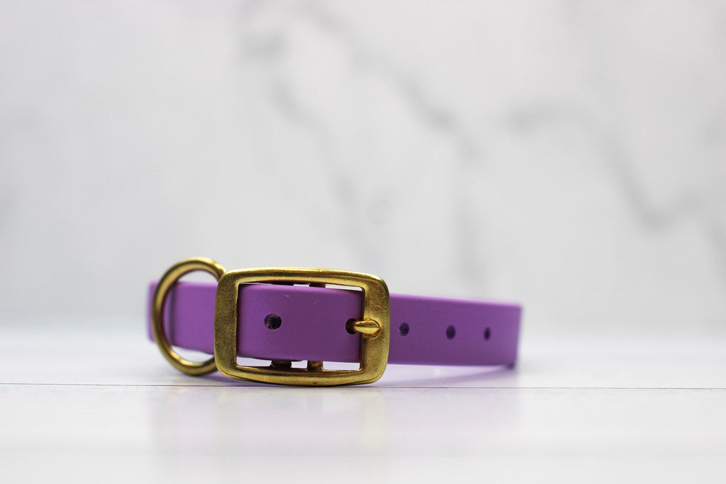 Taro Tango Biothane Collar