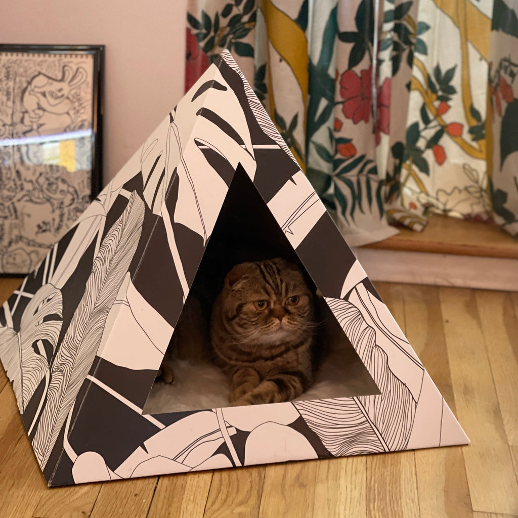 Dark Paradise Cardboard Cat Pyramid | Modern Eco-Friendly Cat Hideaway