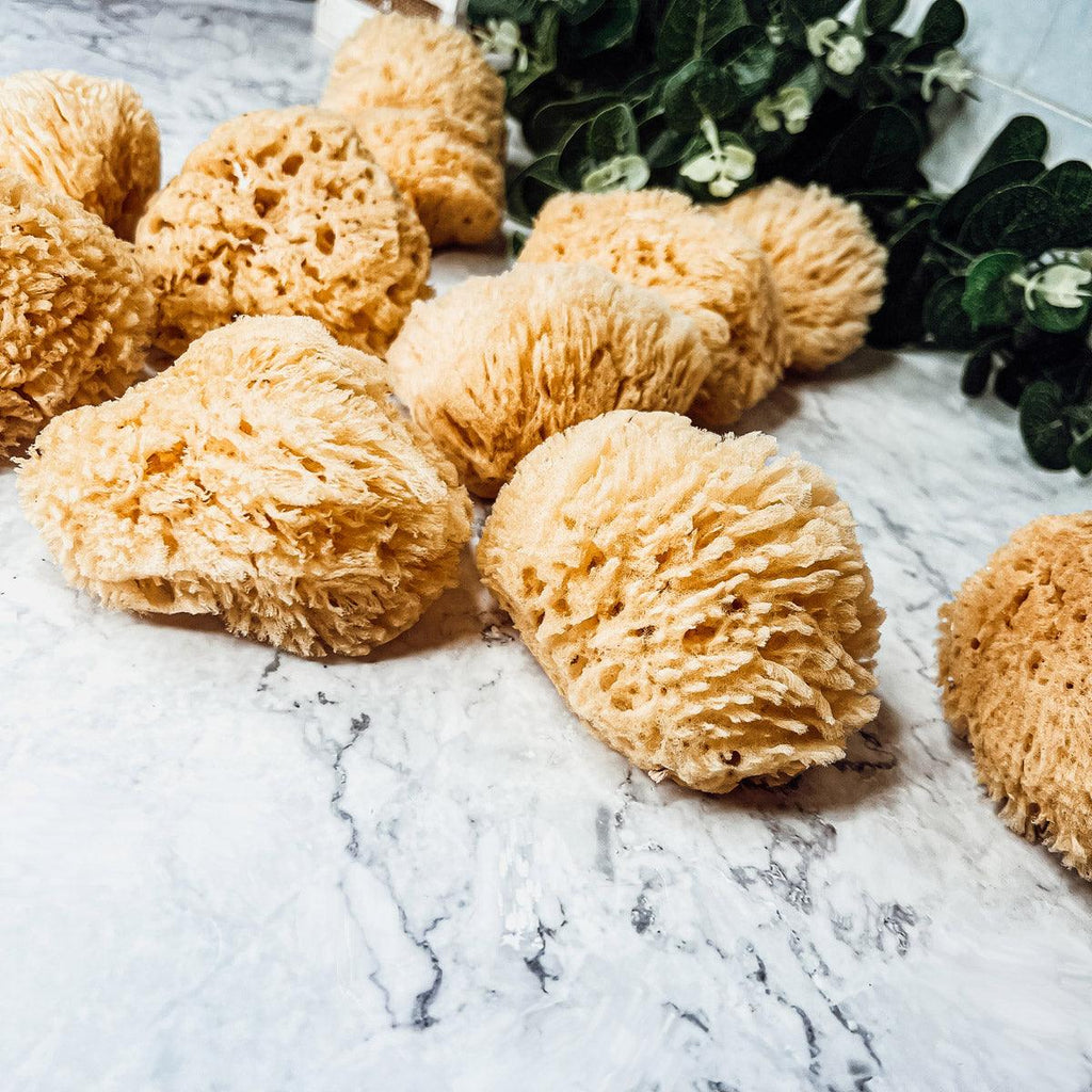 Real Dead Sea Sponge – Natural Exfoliating Bath Sponge (3–4