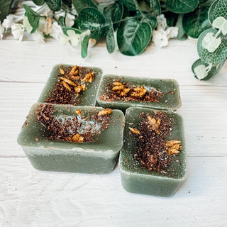 Natural XL Secret Garden Wax Melts – Fresh Citrus & Tropical Blend (4 Cubes)