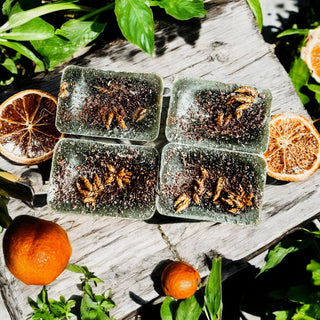 Natural XL Secret Garden Wax Melts – Fresh Citrus & Tropical Blend (4 Cubes)