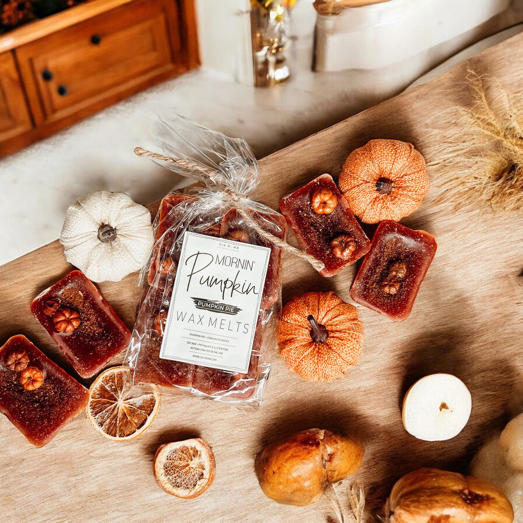 Natural XL Pumpkin Spice Wax Melts – Handcrafted Spiced Fall Fragrance (4 Cubes)
