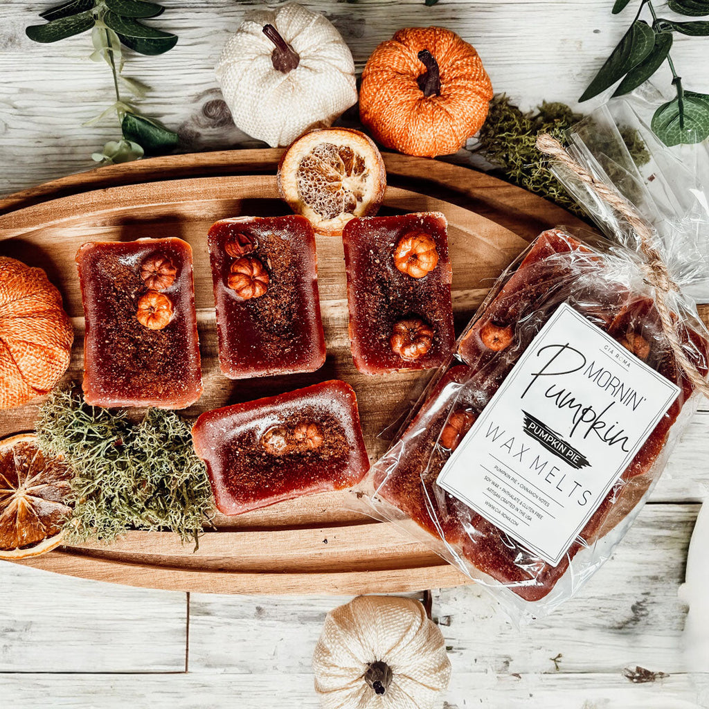 Natural XL Pumpkin Spice Wax Melts – Handcrafted Spiced Fall Fragrance (4 Cubes)