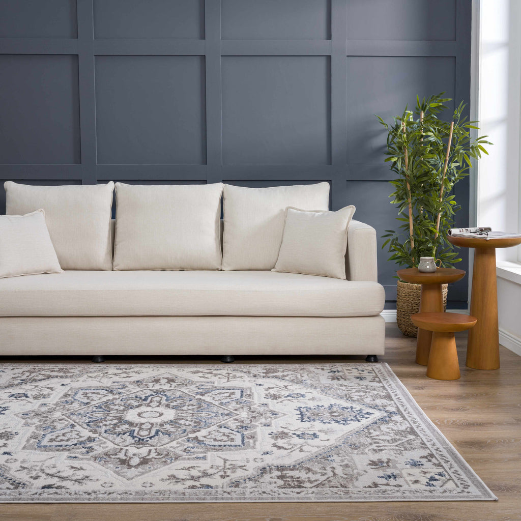 Bakir Area Rug – Stylish Neutral Washable Floor Carpet for Home
