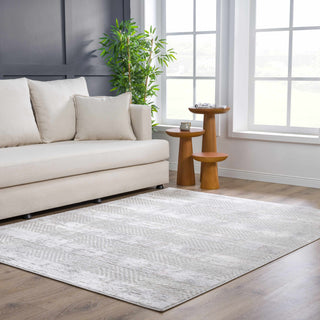 Bucky Area Rug – Contemporary Soft Washable Carpet for Home
