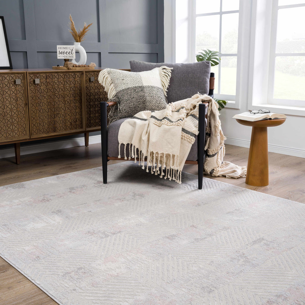 Bucky Area Rug – Contemporary Soft Washable Carpet for Home