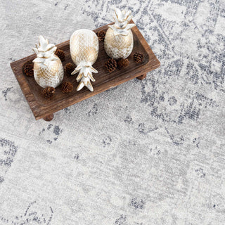 Akram Antrasit Flat Pile Washable Rug – Low Maintenance Modern Rug