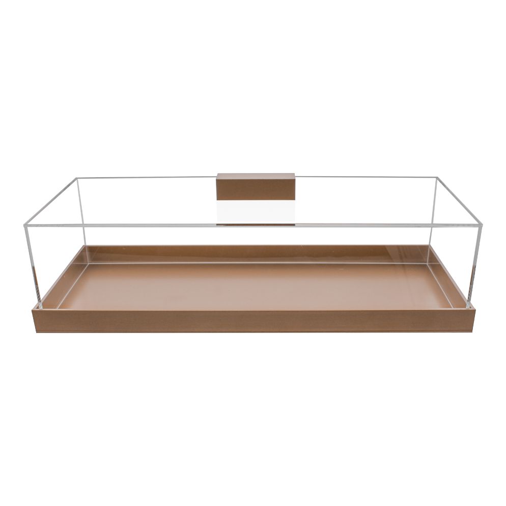 Rectangular Lucite Cake Dome with Gold Base and Handle
