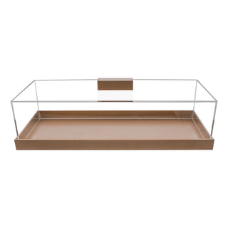 Rectangular Lucite Cake Dome with Gold Base and Handle