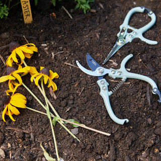 Precision Gardening Shears & Pruners
