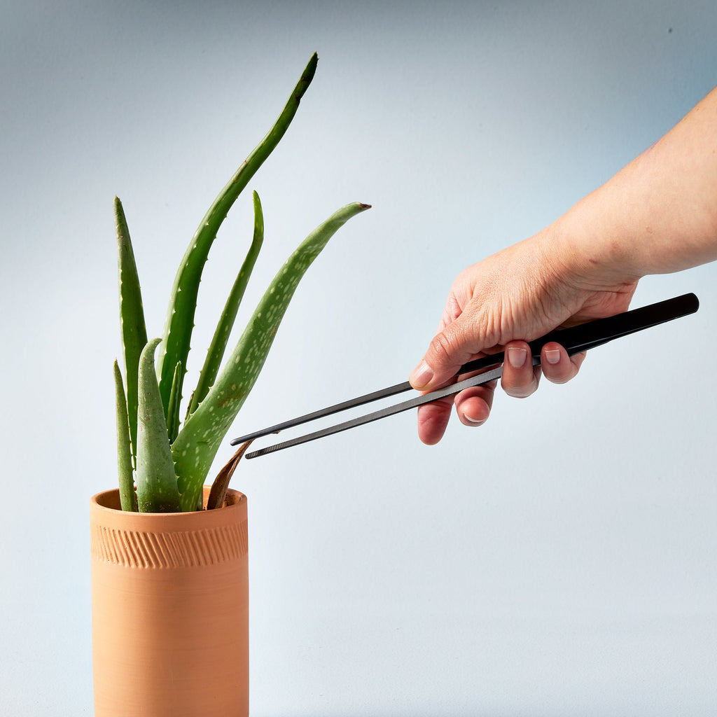 Precision Plant Tweezers