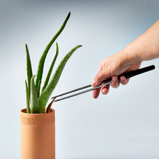 Precision Plant Tweezers