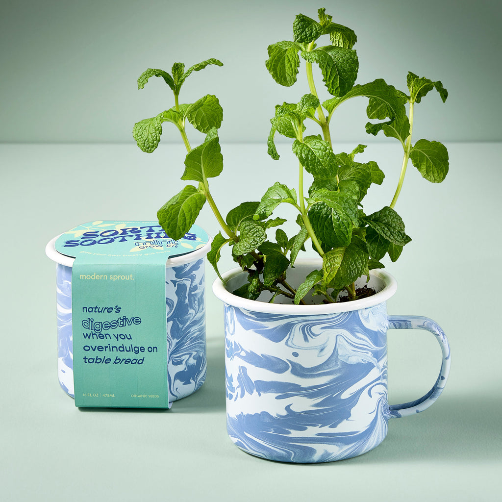 Altered Herb Mug Grow Kit