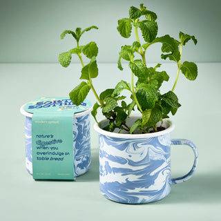 Altered Herb Mug Grow Kit
