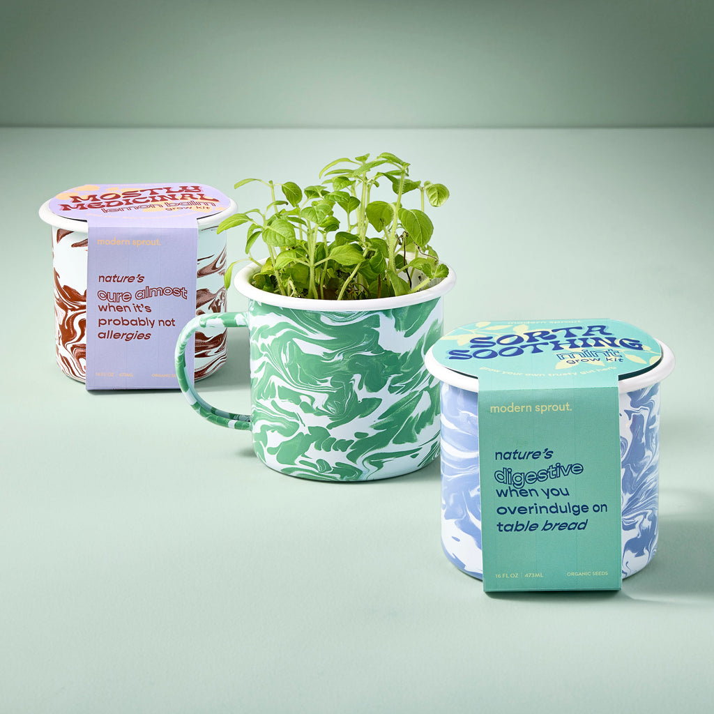 Altered Herb Mug Grow Kit