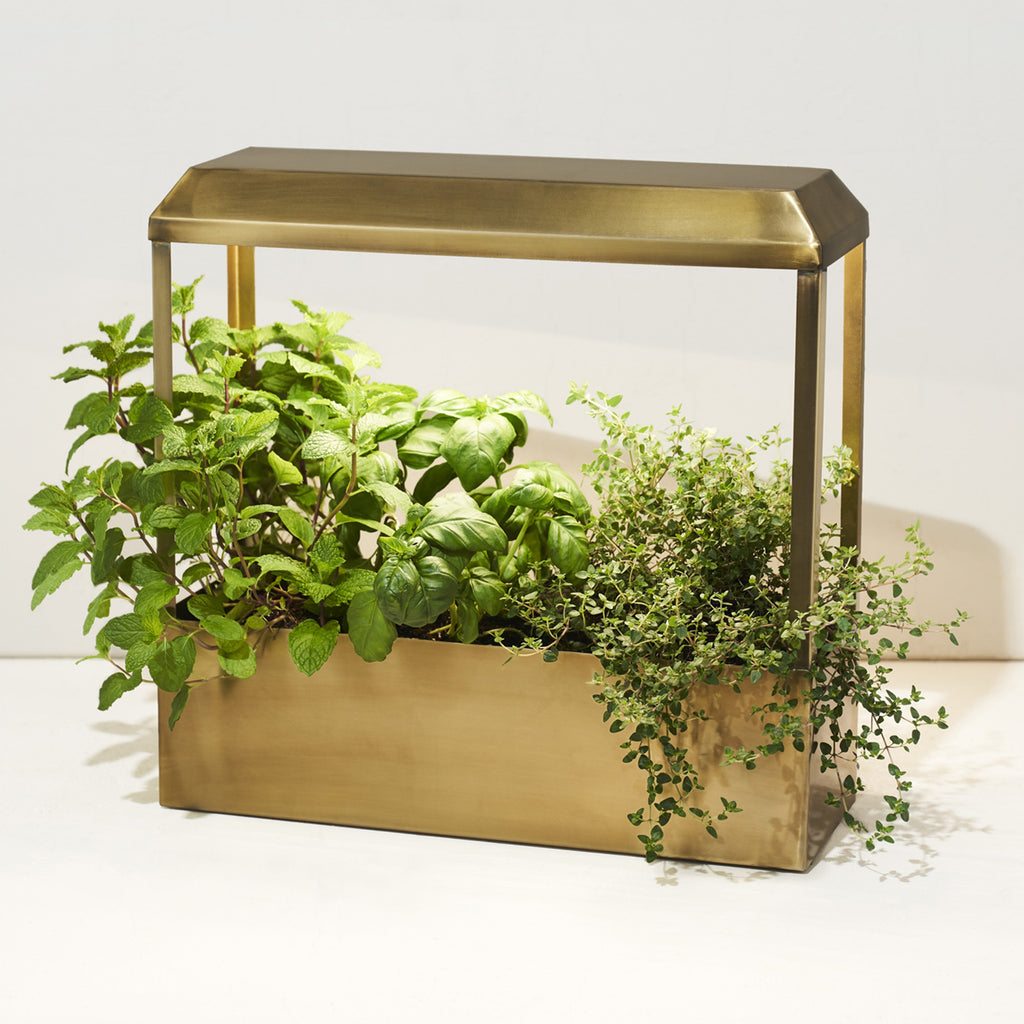 Smart Growhouse Indoor Garden