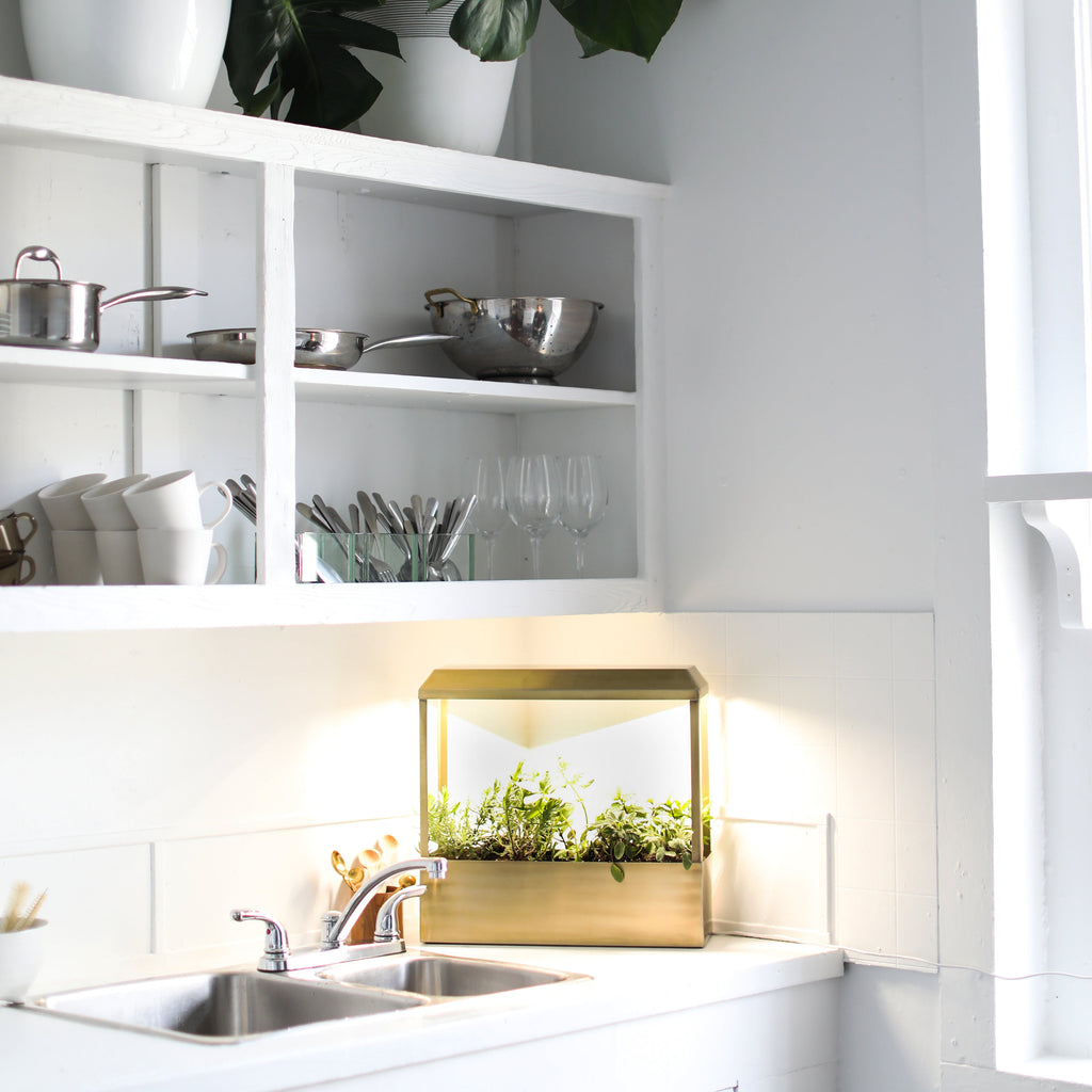 Smart Growhouse Indoor Garden