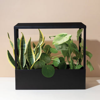 Smart Growhouse Indoor Garden
