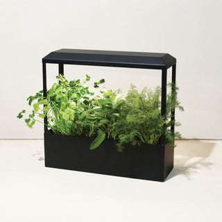 Smart Growhouse Indoor Garden