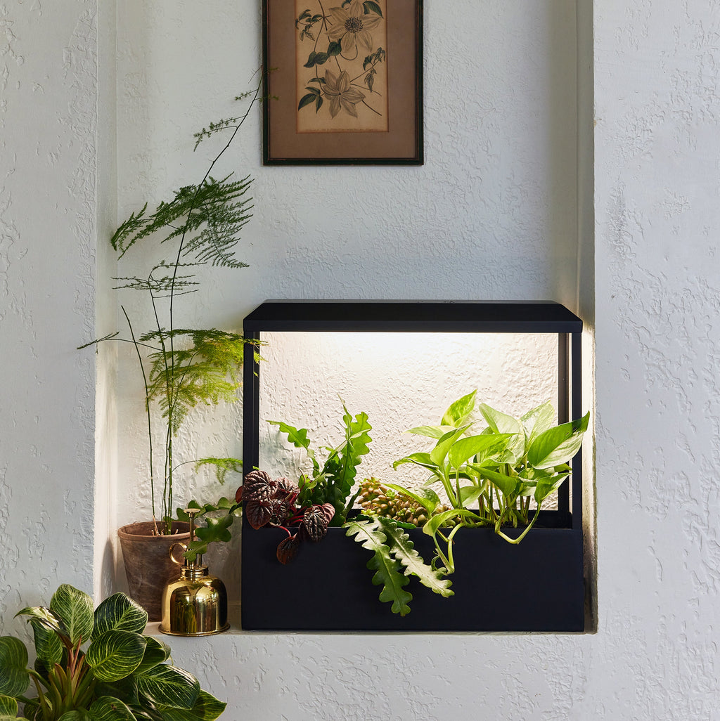 Smart Growhouse Indoor Garden