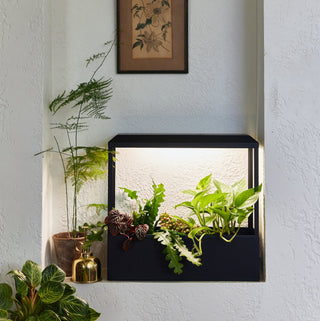 Smart Growhouse Indoor Garden