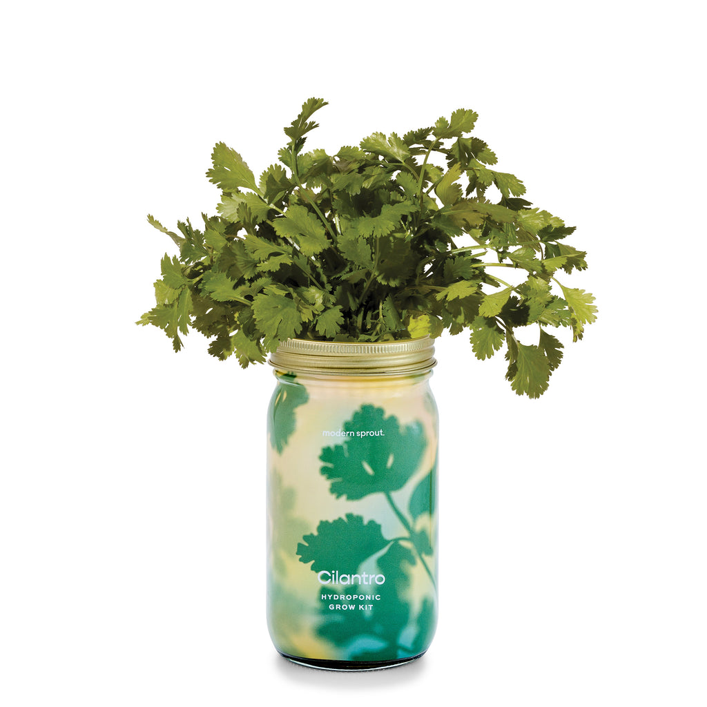 Garden Jars – Organic Herb Growing Kit