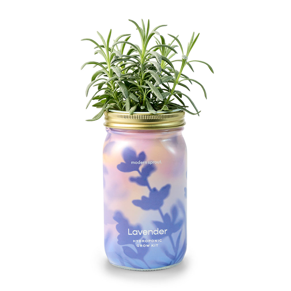 Garden Jars – Organic Herb Growing Kit
