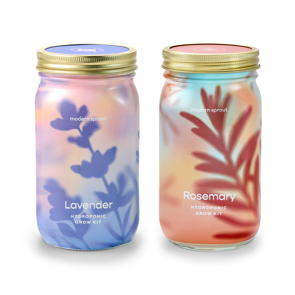 Garden Jars – Organic Herb Growing Kit