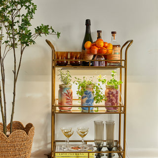 Garden Jars – Organic Herb Growing Kit