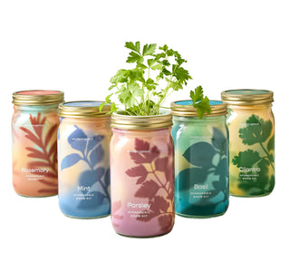 Garden Jars – Organic Herb Growing Kit