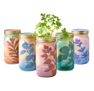 Garden Jars – Organic Herb Growing Kit