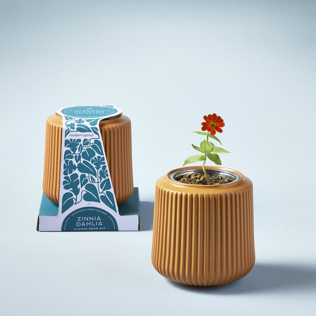 Flower Grow Kits – Fluted Ceramic Planter