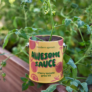 Complimentary Colors Grow Kits