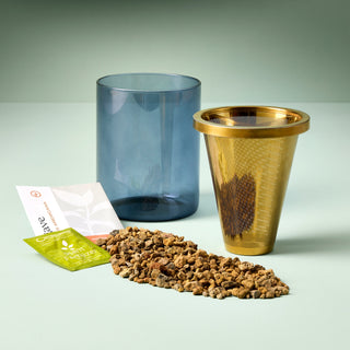 Agave Grow Kit – Smokey Blue Glass Planter
