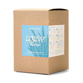 Agave Grow Kit – Smokey Blue Glass Planter