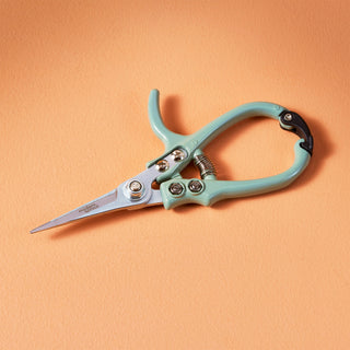 Precision Gardening Shears & Pruners