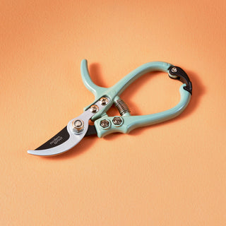 Precision Gardening Shears & Pruners
