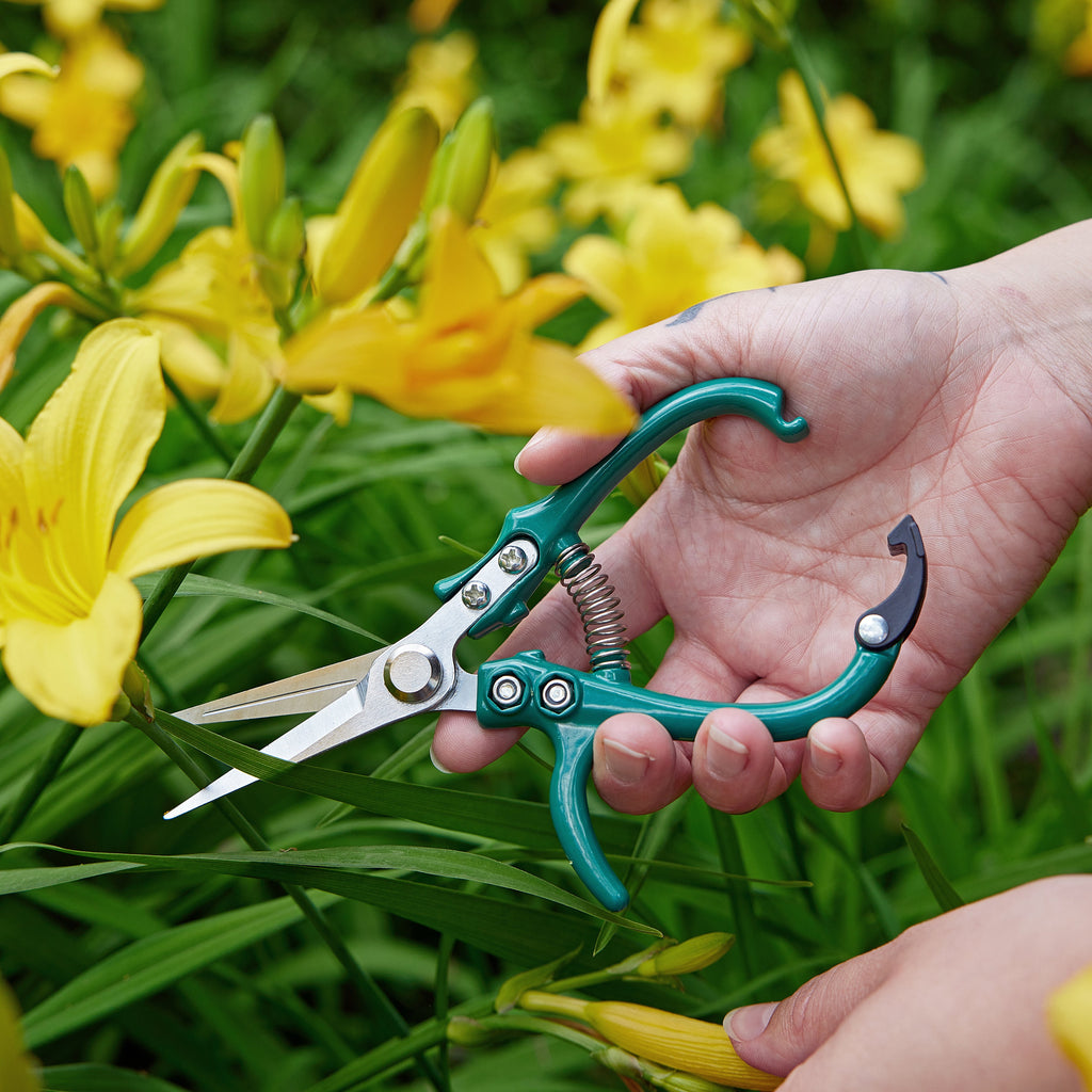 Precision Gardening Shears & Pruners