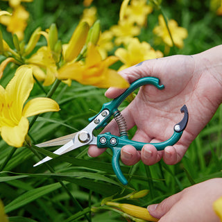 Precision Gardening Shears & Pruners