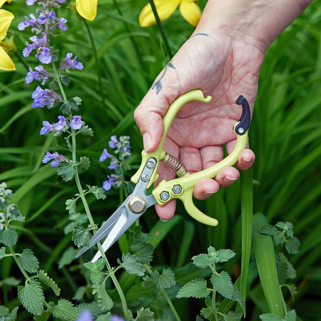 Precision Gardening Shears & Pruners