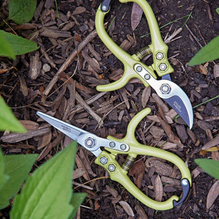 Precision Gardening Shears & Pruners