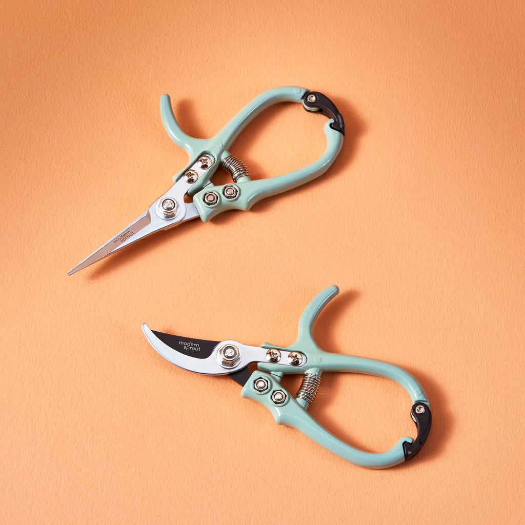 Precision Gardening Shears & Pruners