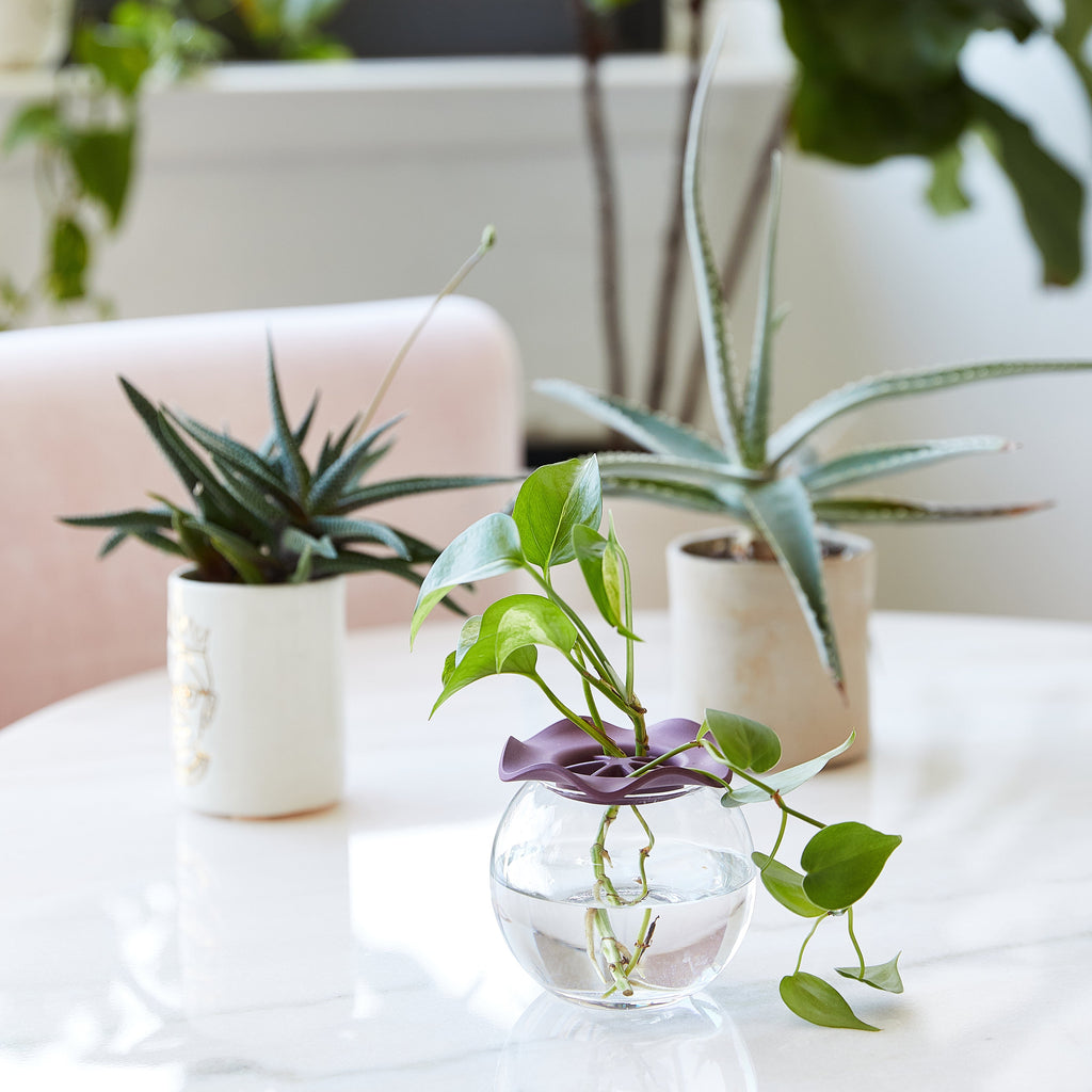 Botanical Keepers – Set of 2