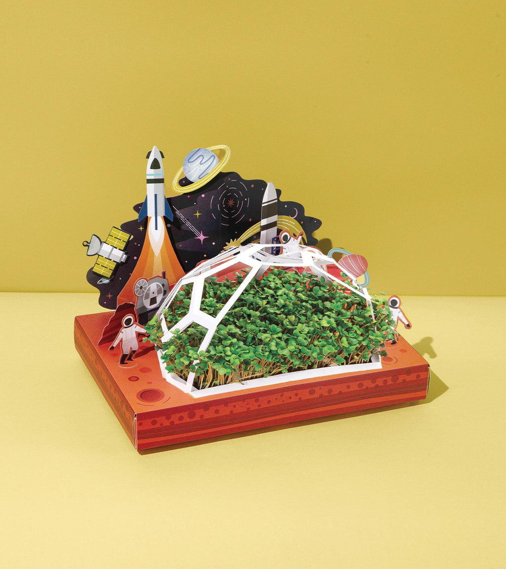 Microgreens Pop-Up Grow Kit