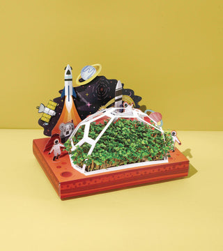 Microgreens Pop-Up Grow Kit