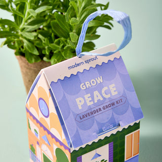 Home Grown Ornament Grow Kit