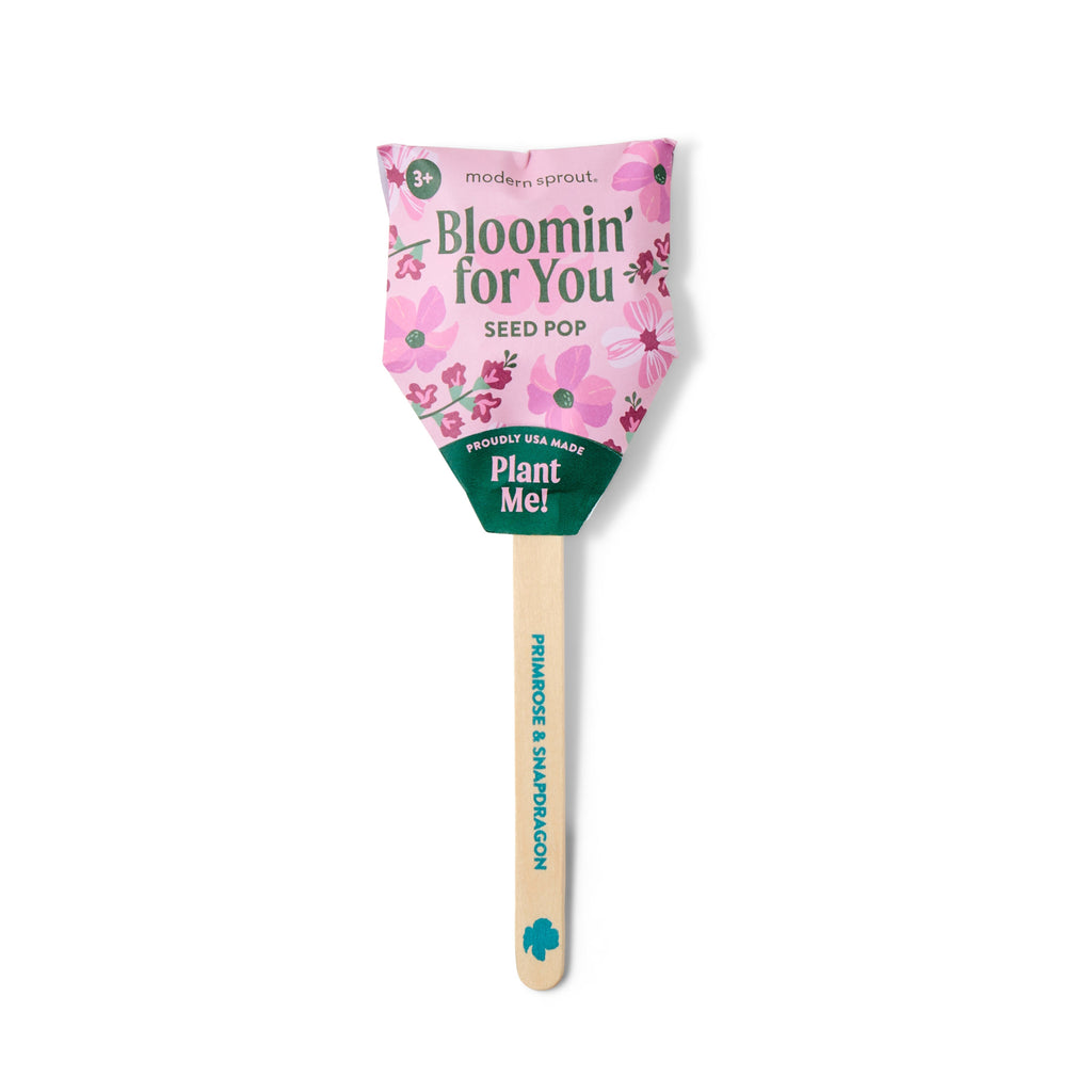 Flower Seed Pops – Growable Wildflower Gift Pops