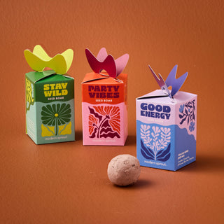 Seed Bombs Grow Kit