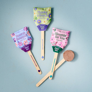 Flower Seed Pops – Growable Wildflower Gift Pops